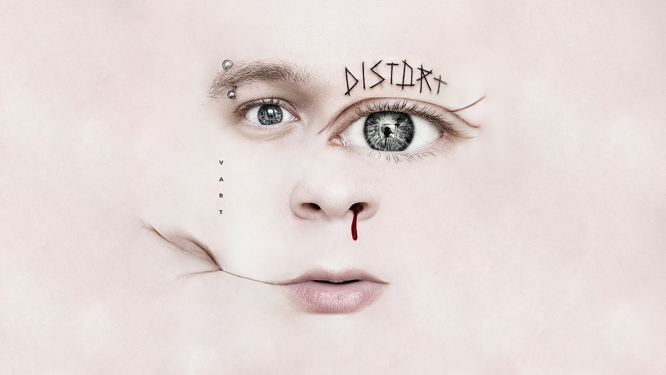 VARTDISTORT album cover
